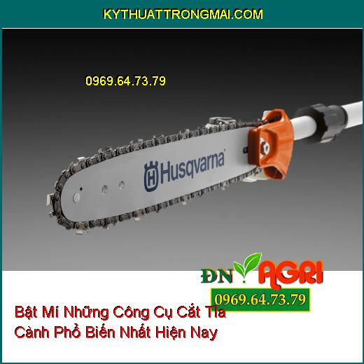 Bật Mí Những Công Cụ Cắt Tỉa Cành Phổ Biến Nhất Hiện Nay