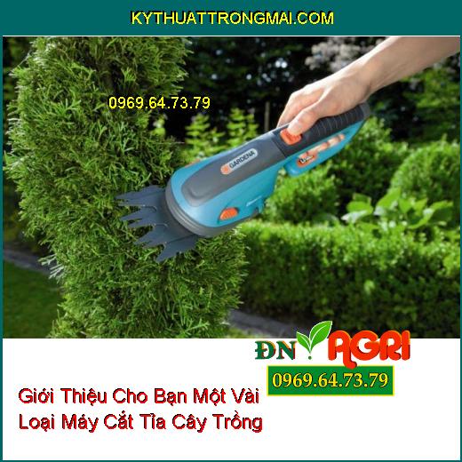 Giới Thiệu Cho Bạn Một Vài Loại Máy Cắt Tỉa Cây Trồng