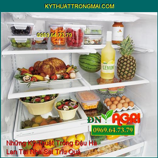 Những Kỹ Thuật Trồng Đậu Hà Lan Tại Nhà Sai Trĩu Quả Mà Chất Lượng