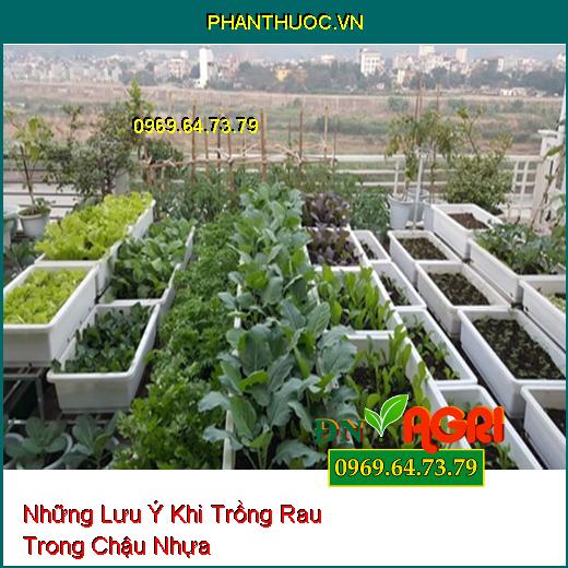 Những Lưu Ý Khi Trồng Rau Trong Chậu Nhựa Bạn Đã Biết?