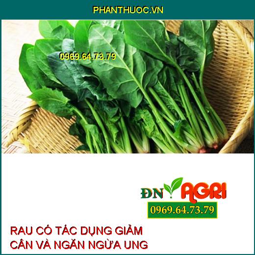 Giảm Cân, Ngăn Ngừa Ung Thư Với 9 Loại Rau "Thần Dược" Bạn Đã Biết?