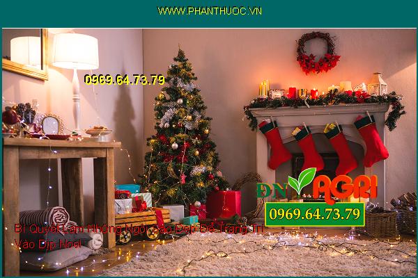 Bí Quyết Làm Những Ngôi Sao Đẹp Để Trang Trí Vào Dịp Noel