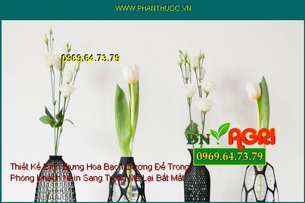 Thiết Kế Bình Đựng Hoa Bạch Dương Để Trong Phòng Khách Nhìn Sang Trọng Mà Lại Bắt Mắt