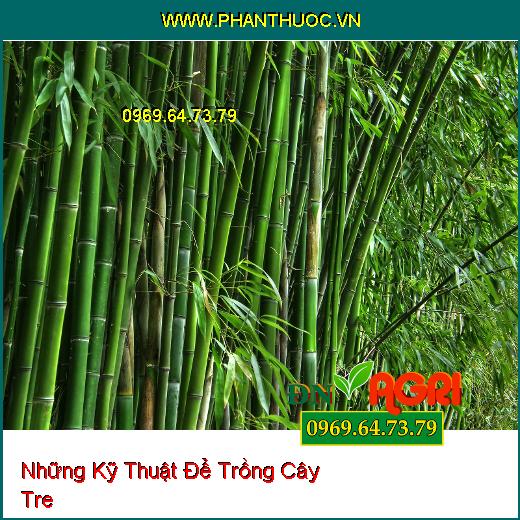 Những Kỹ Thuật Để Trồng Cây Tre