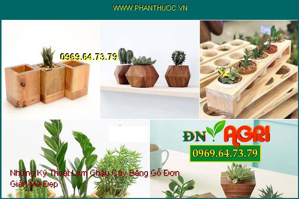 Những Kỹ Thuật Làm Chậu Cây Bằng Gỗ Đơn Giản Mà Đẹp