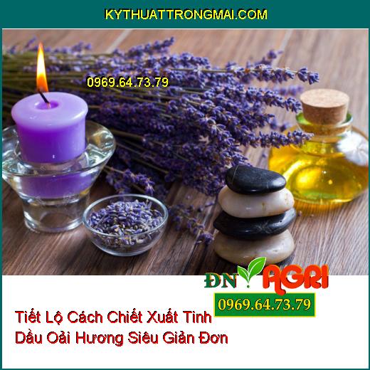 Tiết Lộ Cách Chiết Xuất Tinh Dầu Oải Hương Siêu Giản Đơn