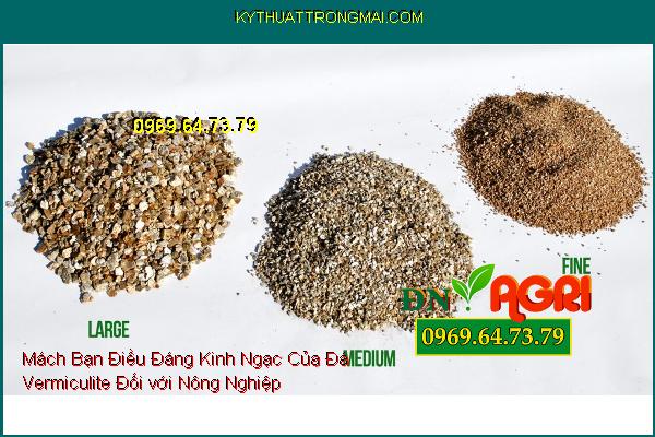 Mách Bạn Điều Đáng Kinh Ngạc Của Đá Vermiculite Đối với Nông Nghiệp