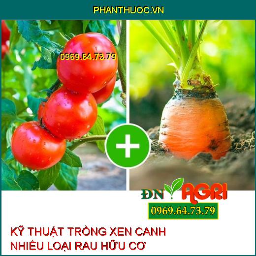 KỸ THUẬT TRỒNG XEN CANH NHIỀU LOẠI RAU HỮU CƠ