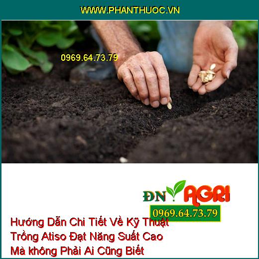 Hướng Dẫn Chi Tiết Về Kỹ Thuật Trồng Atiso Đạt Năng Suất Cao Mà không Phải Ai Cũng Biết