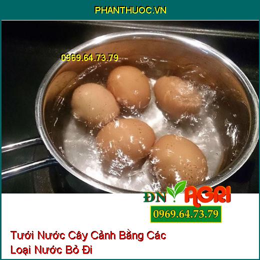 4 Loại Nước Tưới Tưởng Bỏ Đi Nhưng Lại Vô Cùng Giàu Dinh Dưỡng Cho Cây