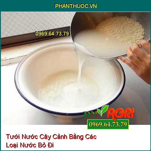 4 Loại Nước Tưới Tưởng Bỏ Đi Nhưng Lại Vô Cùng Giàu Dinh Dưỡng Cho Cây