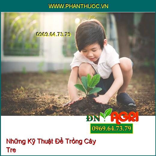 Những Kỹ Thuật Để Trồng Cây Tre