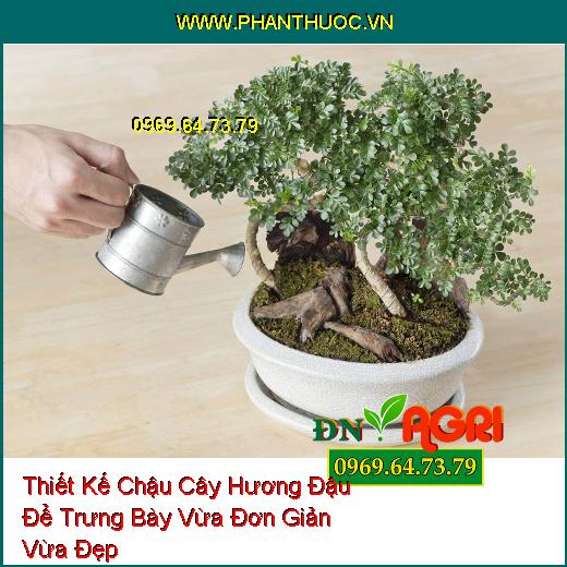 Thiết Kế Chậu Cây Hương Đậu Để Trưng Bày Vừa Đơn Giản Vừa Đẹp