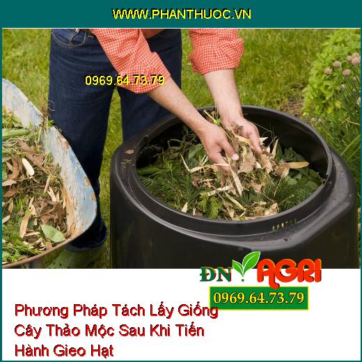 Phương Pháp Tách Lấy Giống Cây Thảo Mộc Sau Khi Tiến Hành Gieo Hạt