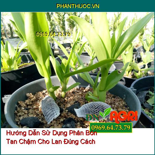 Hướng Dẫn Sử Dụng Phân Bón Tan Chậm Cho Lan Đúng Cách