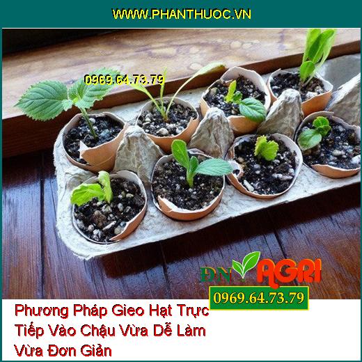 Phương Pháp Gieo Hạt Trực Tiếp Vào Chậu Vừa Dễ Làm Vừa Đơn Giản