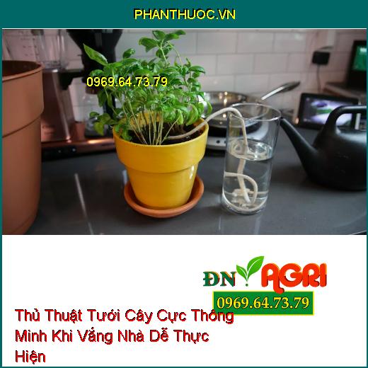 7 Thủ Thuật Tưới Cây Cực Thông Minh Khi Vắng Nhà Dễ Thực Hiện