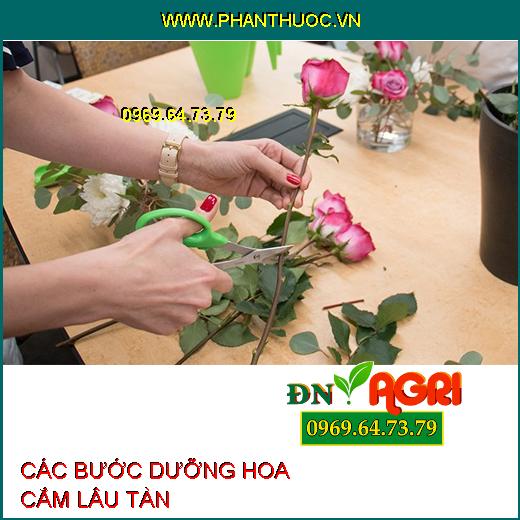 3 bước "thần kỳ" dưỡng hoa cắm lâu tàn để tận hưởng vẻ đẹp của hoa trong thời gian dài