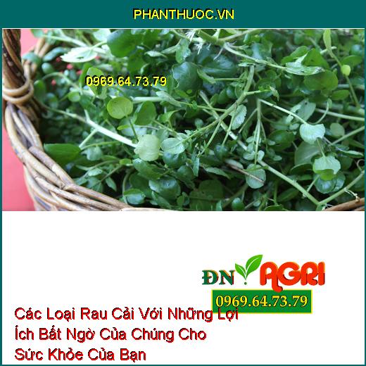 Các Loại Rau Cải Với Những Lợi Ích Bất Ngờ Của Chúng Cho Sức Khỏe Của Bạn