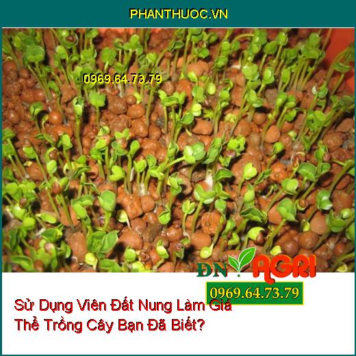 Sử Dụng Viên Đất Nung Làm Giá Thể Trồng Cây Bạn Đã Biết?