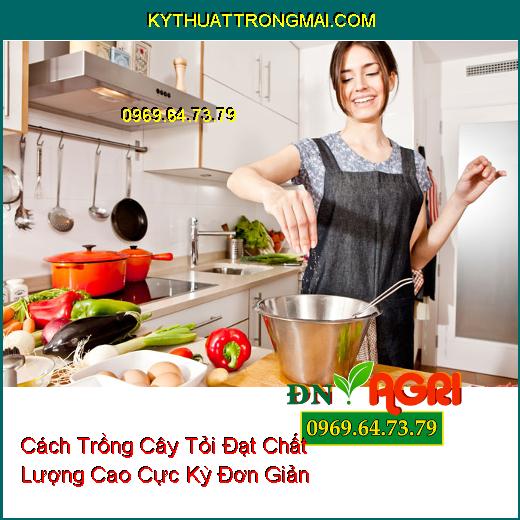 Cách Trồng Cây Tỏi Đạt Chất Lượng Cao Cực Kỳ Đơn Giản