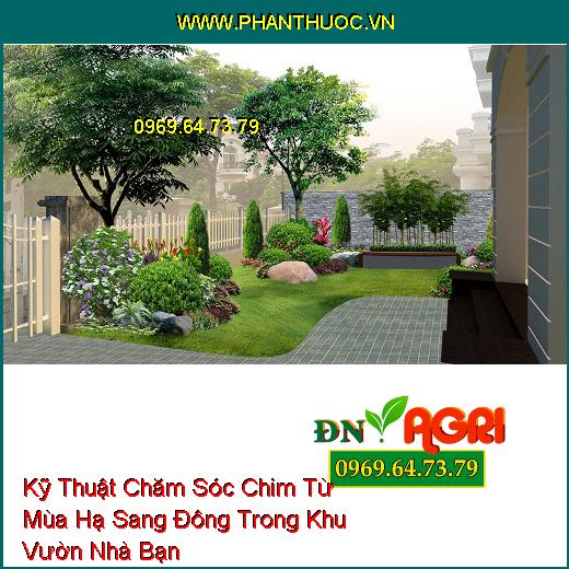 Kỹ Thuật Chăm Sóc Chim Từ Mùa Hạ Sang Đông Trong Khu Vườn Nhà Bạn 