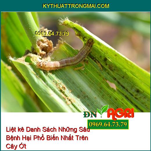 Liệt kê Danh Sách Những Sâu Bệnh Hại Phổ Biến Nhất Trên Cây Ớt