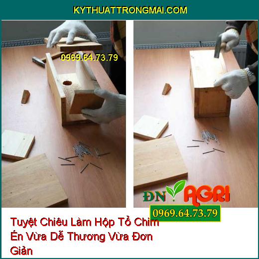 Tuyệt Chiêu Làm Hộp Tổ Chim Én Vừa Dễ Thương Vừa Đơn Giản