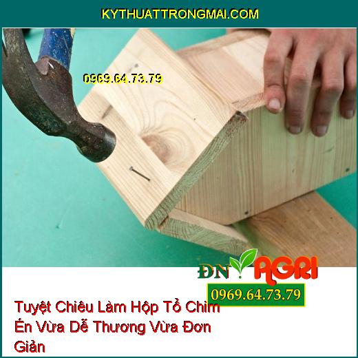 Tuyệt Chiêu Làm Hộp Tổ Chim Én Vừa Dễ Thương Vừa Đơn Giản