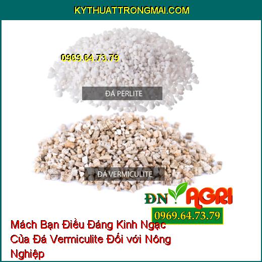 Mách Bạn Điều Đáng Kinh Ngạc Của Đá Vermiculite Đối với Nông Nghiệp