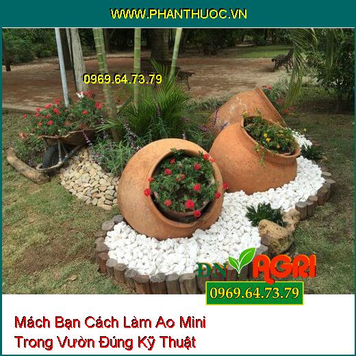 Rải sỏi lên bề mặt giỏ cây thủy sinh