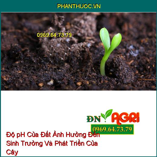 Độ pH Của Đất Ảnh Hưởng Đến Sinh Trưởng Và Phát Triển Của Cây Trồng Thế Nào?