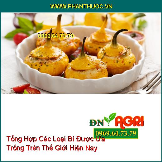 Tổng Hợp Các Loại Bí Được Ưa Trồng Trên Thế Giới Hiện Nay