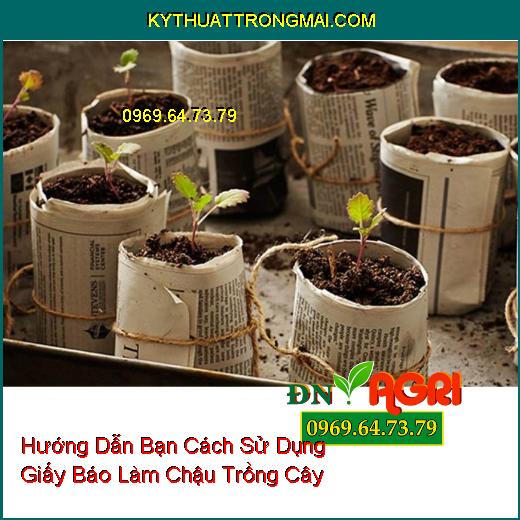 Hướng Dẫn Bạn Cách Sử Dụng Giấy Báo Làm Chậu Trồng Cây