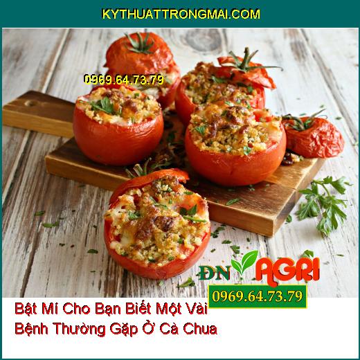 Bật Mí Cho Bạn Biết Một Vài Bệnh Thường Gặp Ở Cà Chua