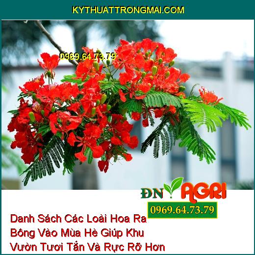 Danh Sách Các Loài Hoa Ra Bông Vào Mùa Hè Giúp Khu Vườn Tươi Tắn Và Rực Rỡ Hơn