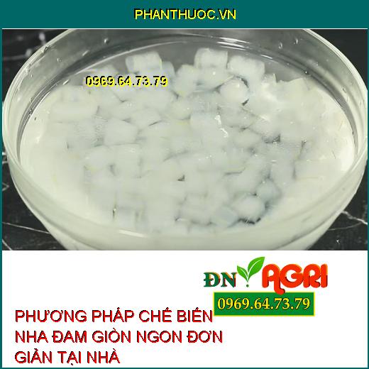 PHƯƠNG PHÁP CHẾ BIẾN NHA ĐAM GIÒN NGON ĐƠN GIẢN TẠI NHÀ