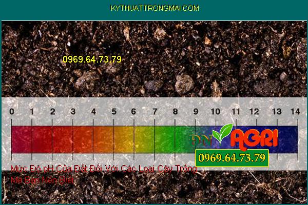 Mức Độ pH Của Đất Đối Với Các Loại Cây Trồng Mà Bạn Nên Biết