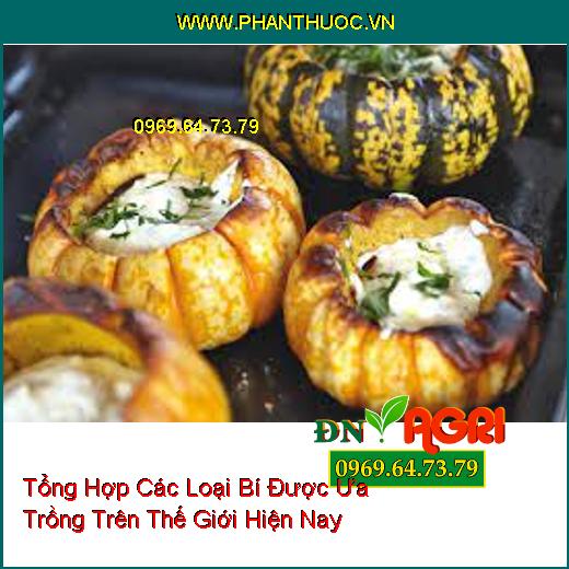 Tổng Hợp Các Loại Bí Được Ưa Trồng Trên Thế Giới Hiện Nay