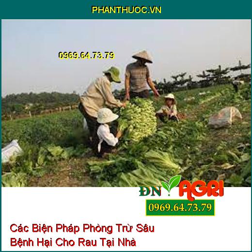 Các Biện Pháp Phòng Trừ Sâu Bệnh Hại Cho Rau Tại Nhà