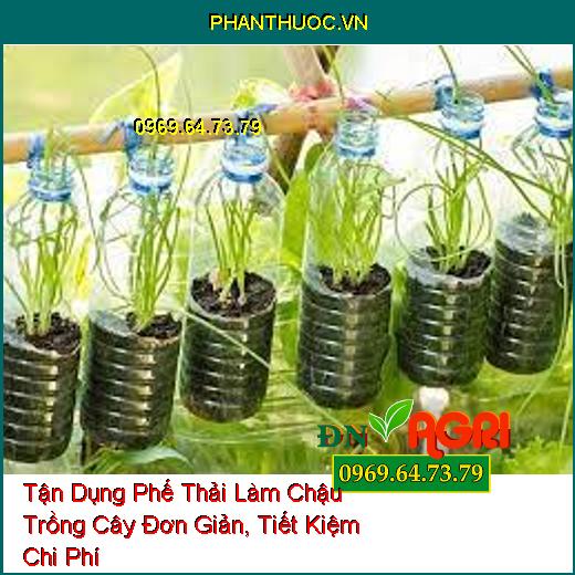 Tận Dụng Phế Thải Làm Chậu Trồng Cây Đơn Giản, Tiết Kiệm Chi Phí