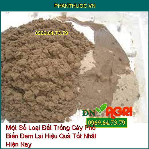 Một Số Loại Đất Trồng Cây Phổ Biến Đem Lại Hiệu Quả Tốt Nhất Hiện Nay