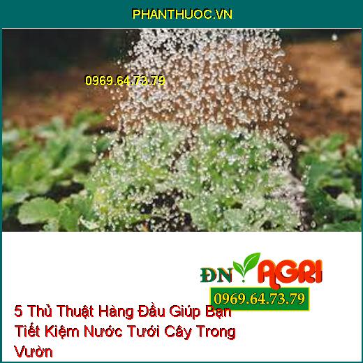 5 Thủ Thuật Hàng Đầu Giúp Bạn Tiết Kiệm Nước Tưới Cây Trong Vườn 