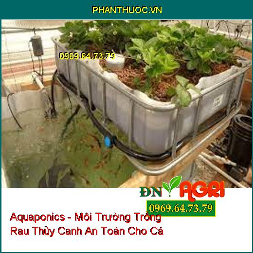 Aquaponics - Môi Trường Trồng Rau Thủy Canh An Toàn Cho Cá