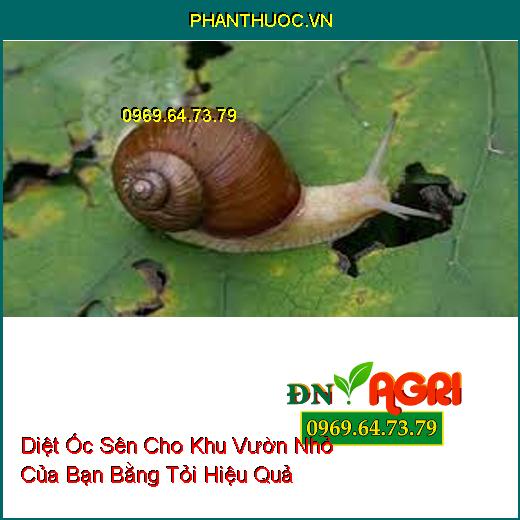 Diệt Ốc Sên Cho Khu Vườn Nhỏ Của Bạn Bằng Tỏi Hiệu Quả