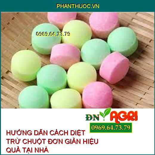 HƯỚNG DẪN CÁCH DIỆT TRỪ CHUỘT ĐƠN GIẢN HIỆU QUẢ TẠI NHÀ