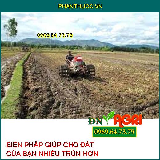 BIỆN PHÁP GIÚP CHO ĐẤT CỦA BẠN NHIỀU TRÙN HƠN