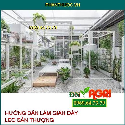 HƯỚNG DẪN LÀM GIÀN DÂY LEO SÂN THƯỢNG VÀ CÁCH CHĂM BÓN CÂY LEO GIÀN