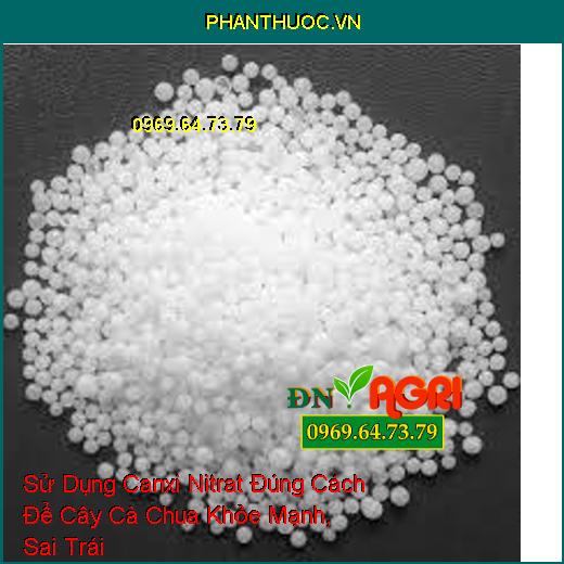 Sử Dụng Canxi Nitrat Đúng Cách Để Cây Cà Chua Khỏe Mạnh, Sai Trái