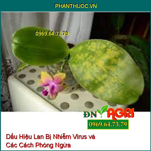 Dấu Hiệu Lan Bị Nhiễm Virus và Các Cách Phòng Ngừa